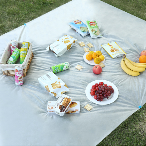 Outdoor non-woven disposable picnic mat