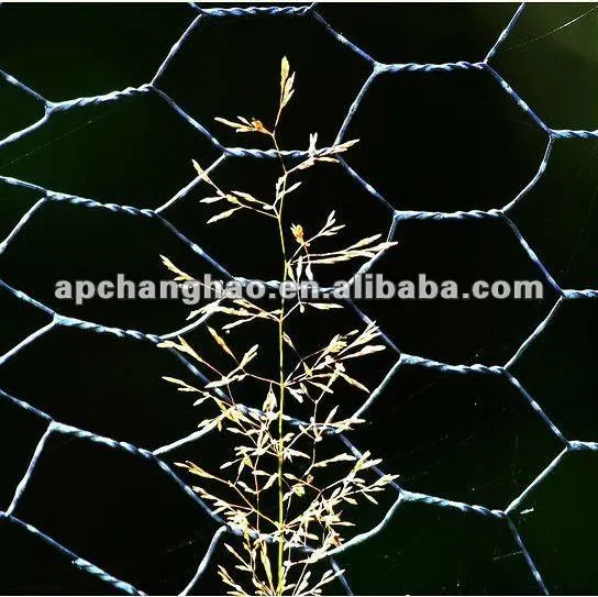 pre-galvanized hexagonal netting