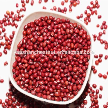 China Low Price Red Adzuki Beans with Good Quality