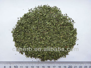 Dried Stevia leaves,Stevia rebaudiana,Folium steviae,Sweet leaves,Sweetleaf,Sugar leaf,Tian cha,Tiancha