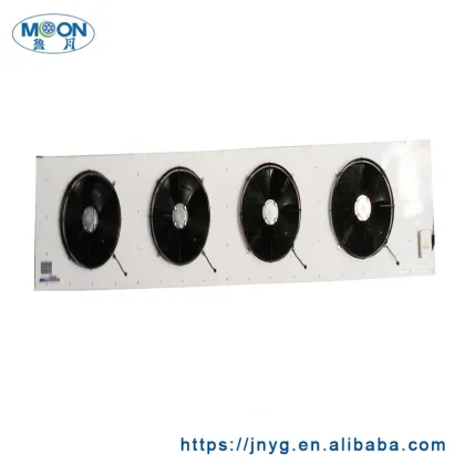 Moon Copeland Compressor for Cold Room Fan Motor and Evaporator