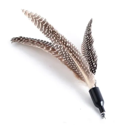 Interactive Cat Teaser Stick Toy with Replaceable Head and Playing Products