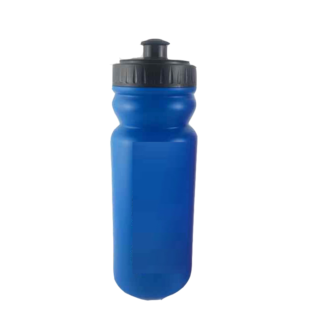600ml aangepaste logo branding plastic fles water