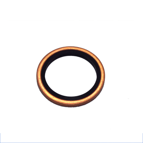 Getah Seal Metal Rubber Hydraulic Oil Seal