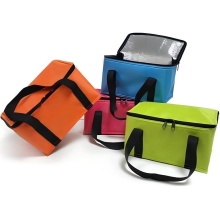 Refrigerated picnic cooler bags for frozen food