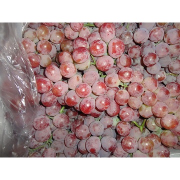 Segar Qulality Red Grape Bagus