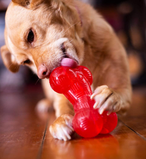 Strong Large Dog Bone Toys