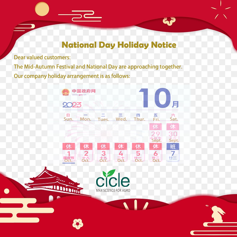 Holiday arrangement