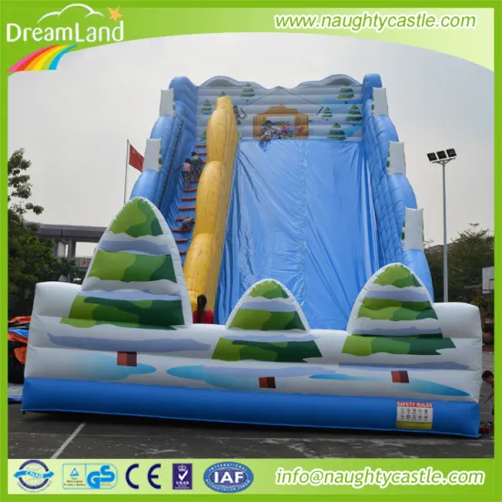 Giant inflatable jumping castle slide for sale/ giant inflatable adult jump slide/ large outdoor slide