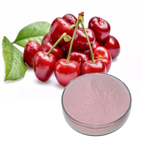 Organic Acerola Cherry Extract Powder