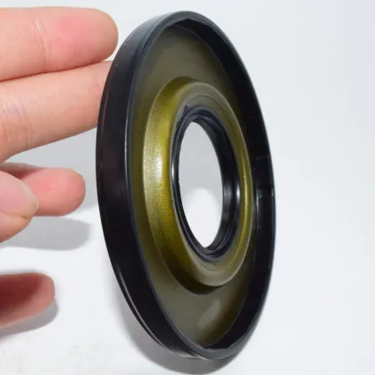 Rotary Shaft Oil Seal Factory: OEM & ODM Servo Motor Oil Seal BE6657F NBR Material