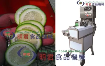 Lemon Slicer machine