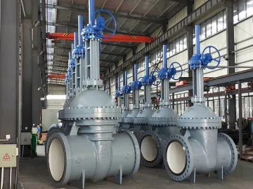 Cast Steel API 600 Gate Valve