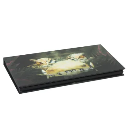 Eye shadow beauty makeup sets