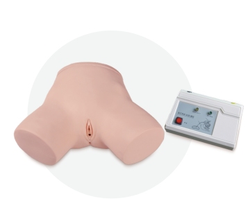 Monitoring Female Catheterization Model