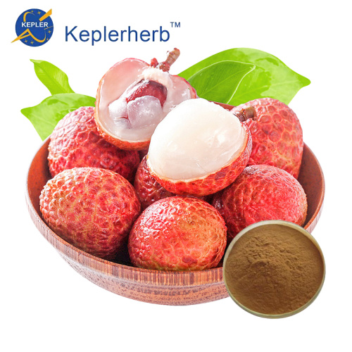 Lychee Extract factory supply