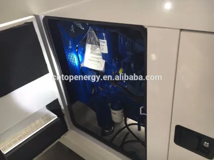 13KVA FG WILSON open and with cabinet gensets (P11-6S P13.5-6 P16-6S) FG wilson Diesel generator Factory Price