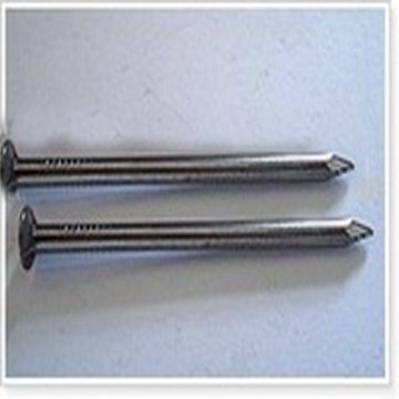 Galvanized Concrete Nail