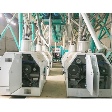 Hongdefa 80t/24h Wheat Flour Milling Machine for Bread, Cake, and Pasta Flour Production