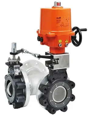 Belimo  Butterfly Valve