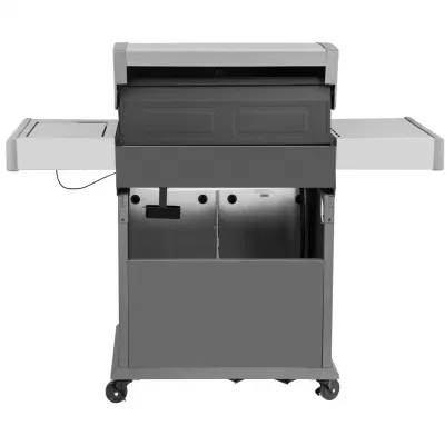 New Design Gas BBQ Grill with CE 5 Burner Side