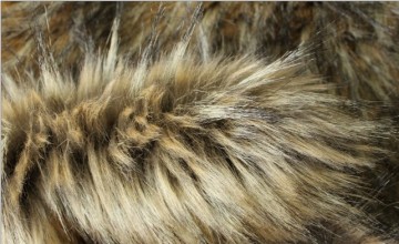 Imitation-Raccoon-Fur Eshp-349-6