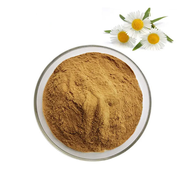 Chamomile-Extract-Powder