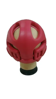 Taekwondo helmet