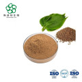Perilla Seed Extract Powder Water Soluble 4:1