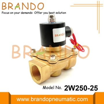 2W250-25 Water Solenoid Valve 1 Inch 240V 120V