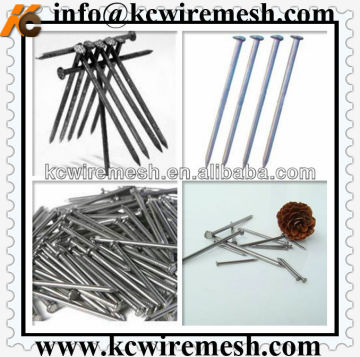 Construction common nails/iron nails buy from Kangchen Wire Mesh!!