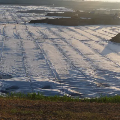Gse Geomembrane Used for Pond/Landfill/Tunnel