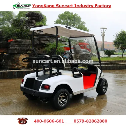 Colorful 2 Seater Golf Cart,Golf Cart ,Electric golf cart for sale, Hotel electric golf cart ,Mini electric golf cart