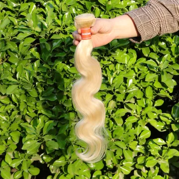 Free Sample Raw Virgin Cuticle Aligned Hair, Raw Indian Human Hair Bundles With Frontals,Brazilian Virgin Human Hair Extensions