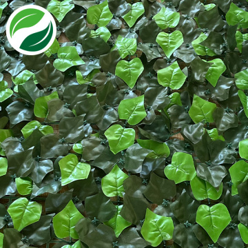 Artificial interplanting of sweet potato leaves