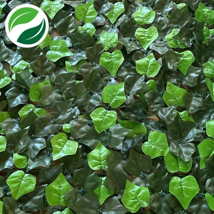 Artificial interplanting of sweet potato leaves