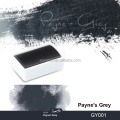 GY001 payne's grey