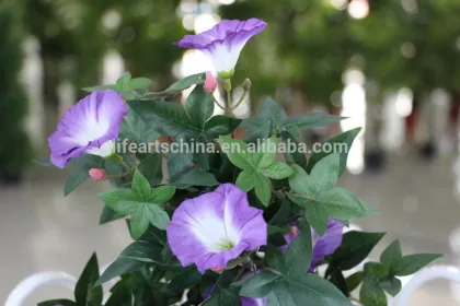 wholesale artificial flower 55cm silk morning glory decorative flower