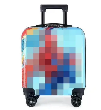 Kids Travel Trolley Bags Luggage