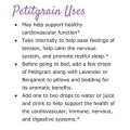 Wholesale bulk price petitgrain essential oil 100%