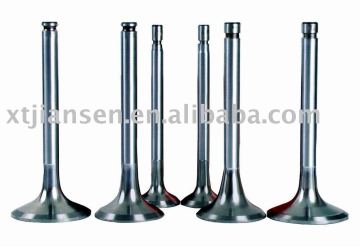 Auto Engine Valves