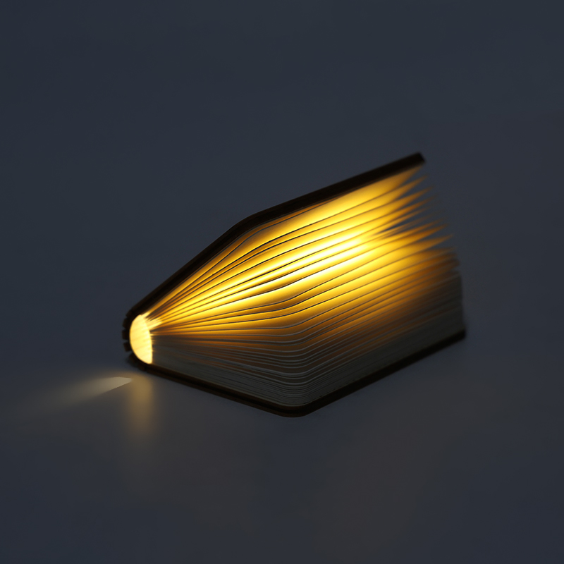Open On Close Off Book Lamp
