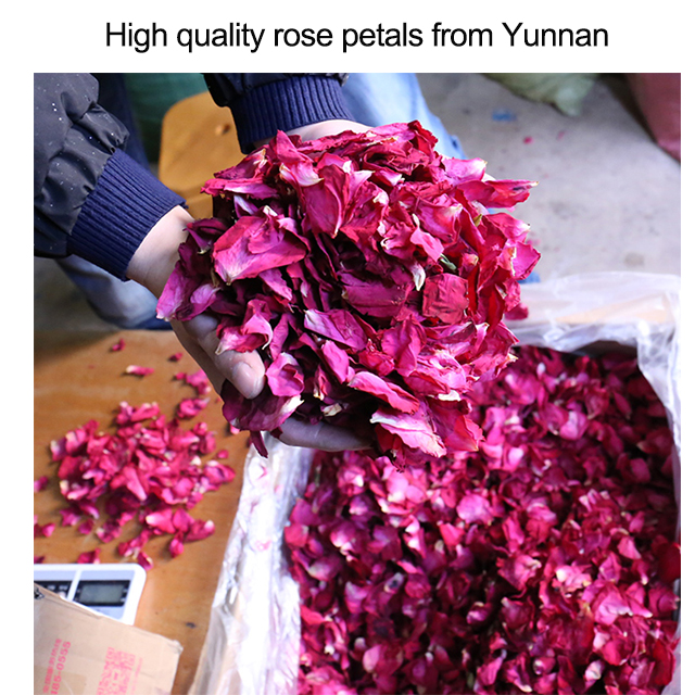 Wholesale Bulk Dried Rose Petals For Weddings And Parties, High Quality ...
