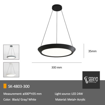 Minimalist Pendant Light Simple Circular Lighting LED Ceiling Pendant Light Factory