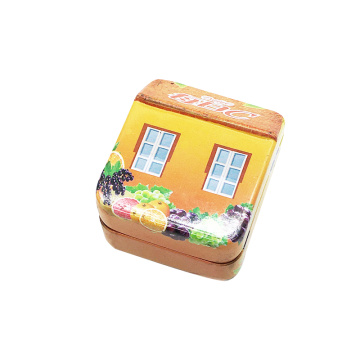 Tinplate Creative House Iron Box Metal Storage Boxes