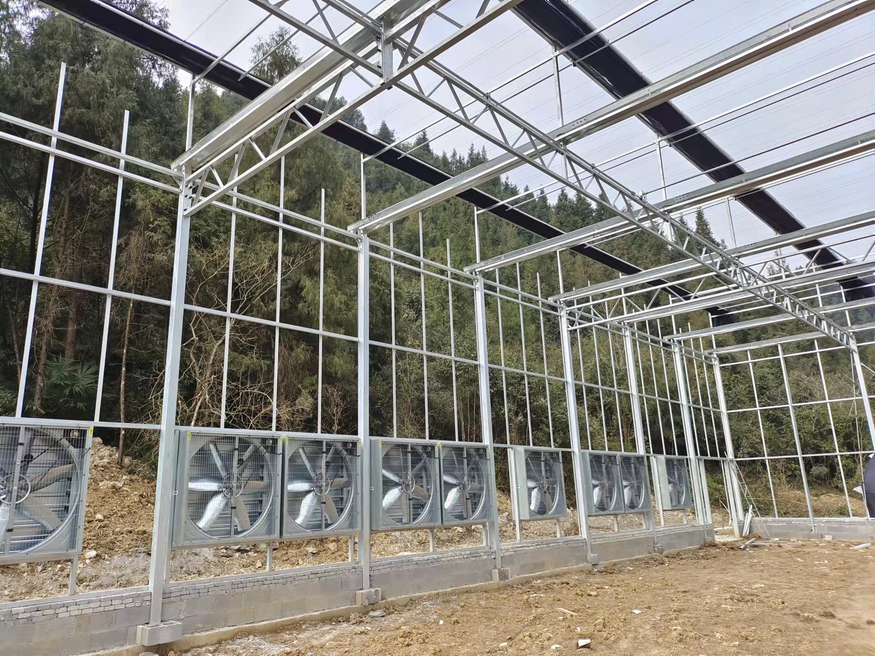 Qingcheng Agriculture's Crafted Pengshui Glass Greenhouse Project: Soilless Cultivation Industrial Park Launched and Operational