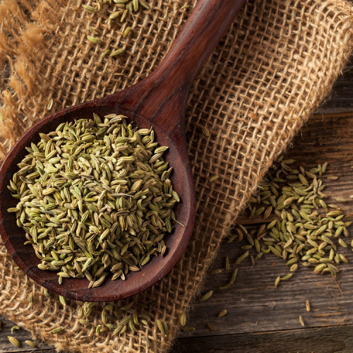 Fennel Extract Powder Food Grade