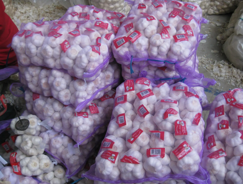 New crop normal white garlic