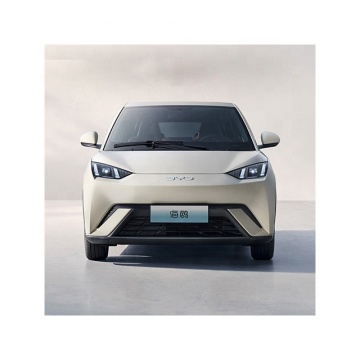 Trong kho 2024-2025 BYD Seagull Electric hatchback-5 cửa, 4 chỗ, 305km/405km