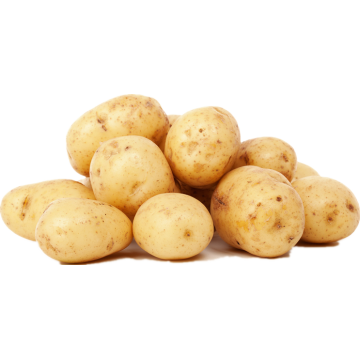 Food Supplement Pure Potato Protein Powder Price